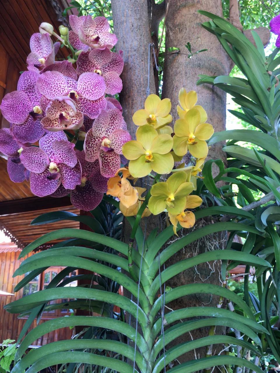 Hua Hin Lap Lae Resort Buitenkant foto